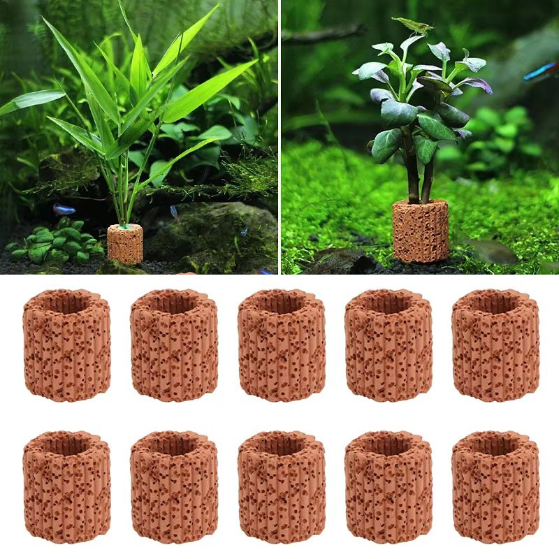 Aquatic Plant Fixed Ring for A - Marine Aquarium All In One ulasan dan harga