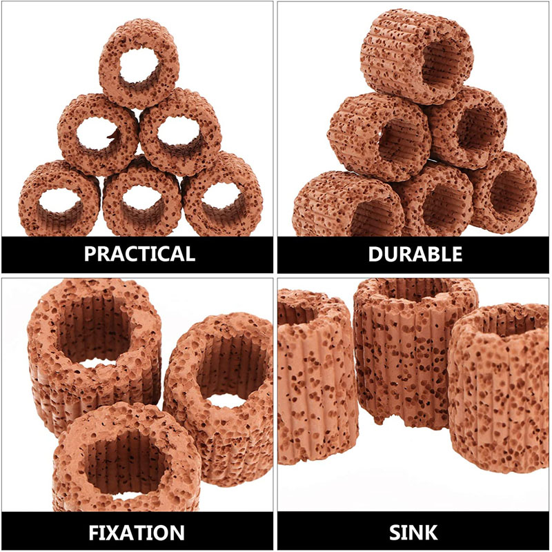 Aquatic Plant Fixed Ring for A - Marine Aquarium All In One ulasan dan harga