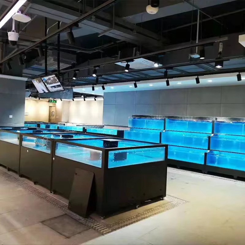 Square Glass Freshwater Fish T - Marine Aquarium All In One ulasan dan harga