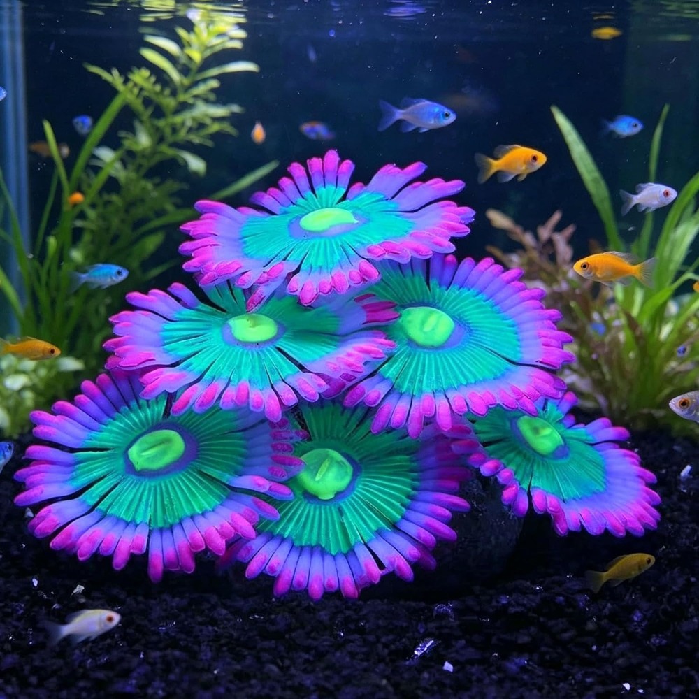 Glowing Soft Aquarium Fish Tan - Marine Aquarium All In One ulasan dan harga