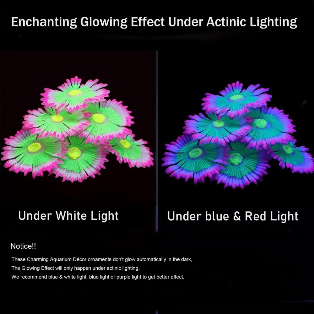 Glowing Soft Aquarium Fish Tan - Marine Aquarium All In One ulasan dan harga