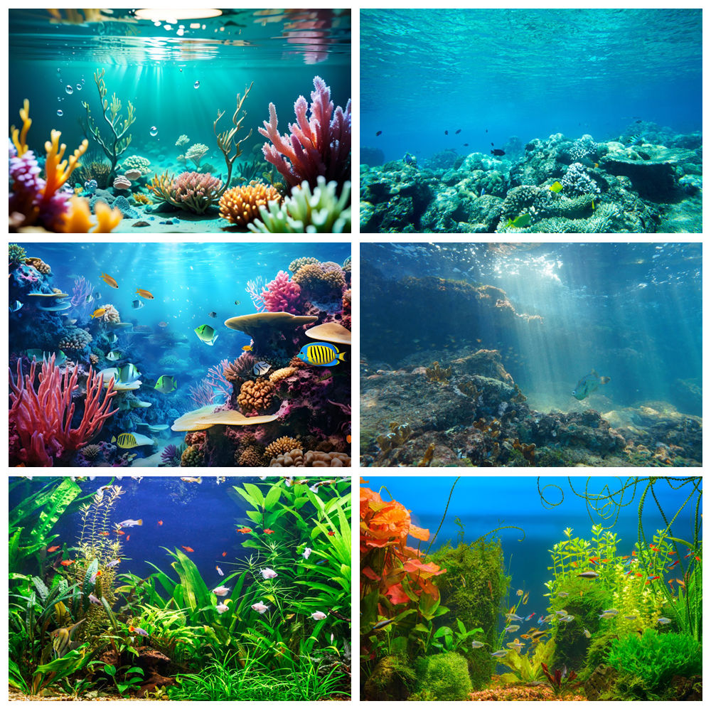 Underwater World Seabed Photog - Aquarium Marine World ulasan dan harga