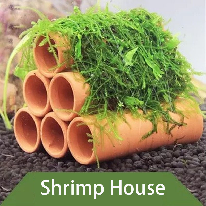 Clay Aquarium Decoration Fish  - Marine Aquarium All In One ulasan dan harga
