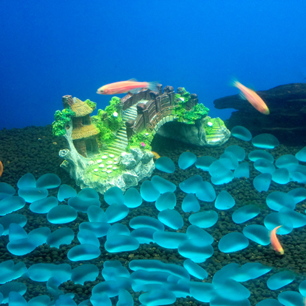 Aquarium Accessories Arbor Tre - Marine Aquarium All In One ulasan dan harga