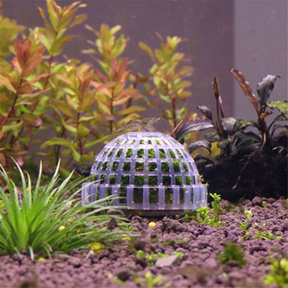 New Plastic Suspension Moss Do - Marine Aquarium All In One ulasan dan harga