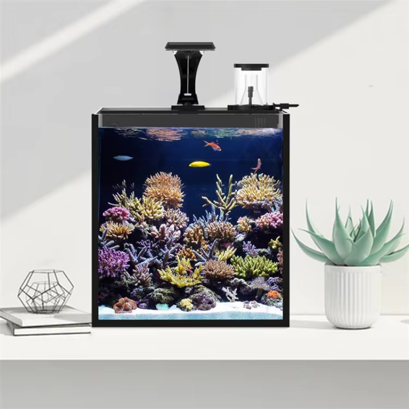 Table Curved Saltwater Marine  - Marine Aquarium All In One ulasan dan harga